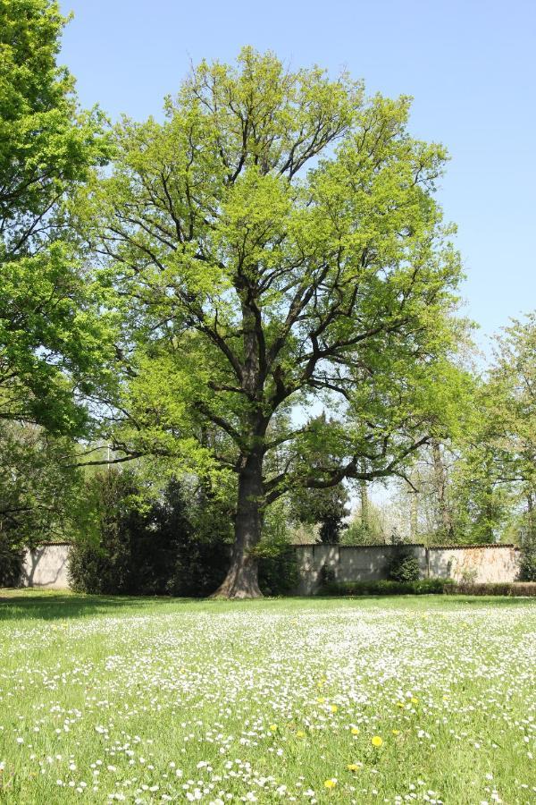 Storica Quercia B&B Nerviano Eksteriør billede